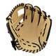 Mizuno 2025 Franchise Series Baseball Gloves