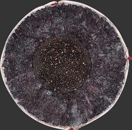 Rawlings Baseball Bucket w/ 30 ROLB1X Baseballs