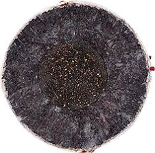 Rawlings RBRO1 Babe Ruth Regular Season Baseball