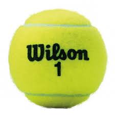 Wilson WRT100101 X-Duty Tennis Balls